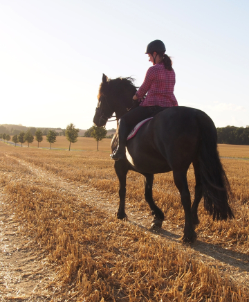 Eine Reiterin auf einem Pferd. Sie reitet auf einem Feldweg der Sonne entgegen.