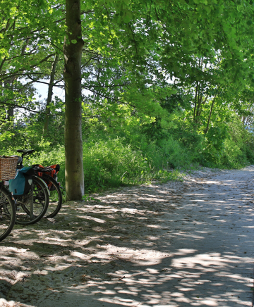 Fahrräder stehen an einem Strandzugang.