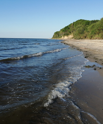 Ostseestrand mit Steilküste im Hintergrund.