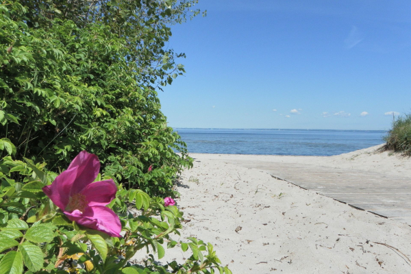 Barendorf - Blick auf den wunderschönen Naturstrand