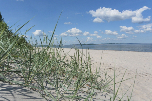 Barendorf - Blick auf den wunderschönen Naturstrand