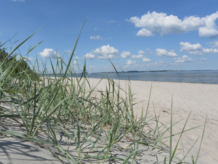 Barendorf - Blick auf den wunderschönen Naturstrand