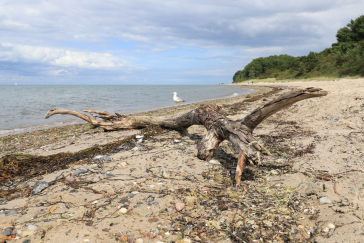 Barendorf - Blick auf den wunderschönen Naturstrand