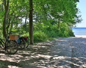 Fahrräder stehen an einem Strandzugang.