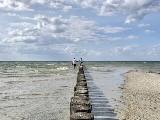 Buhnen führen ins Wasser. Das Meer. 