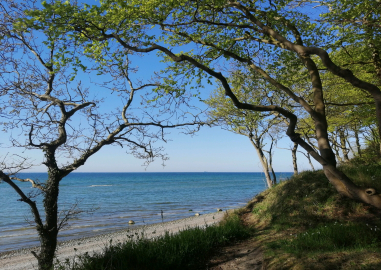 Bäume umrahmen den Blick auf Strand und Meer.